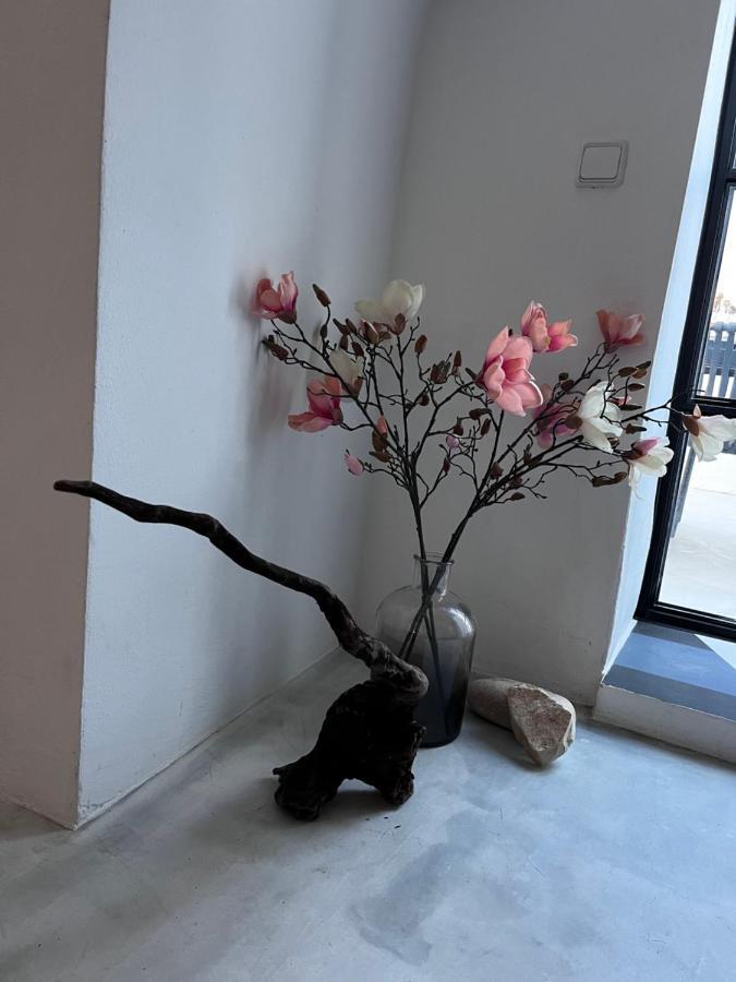 알테아 Casa Delaluz 빌라 외부 사진